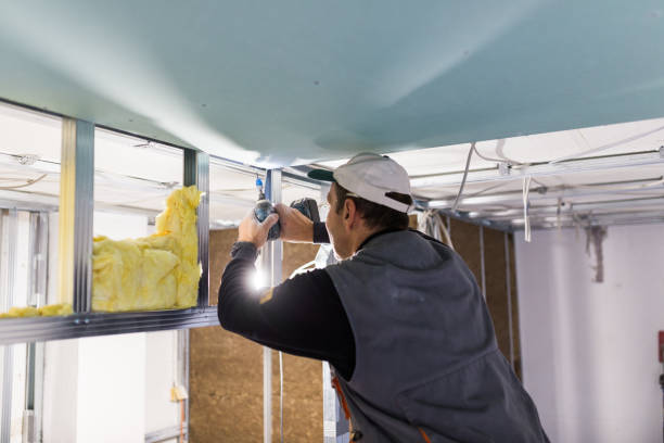 Best Insulation Contractors for Homes  in Caddo Mills, TX