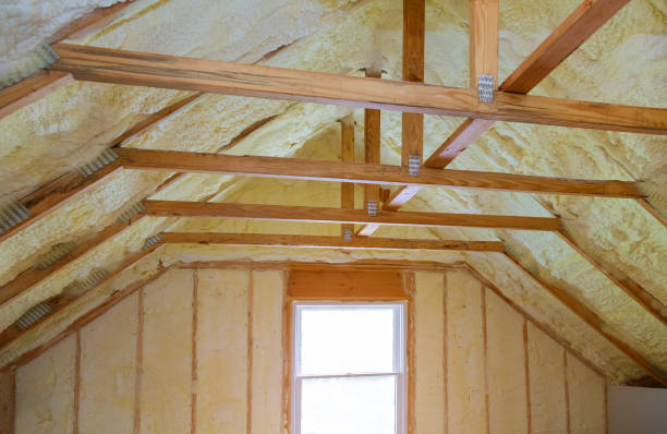 Best Insulation Contractor Near Me  in Caddo Mills, TX