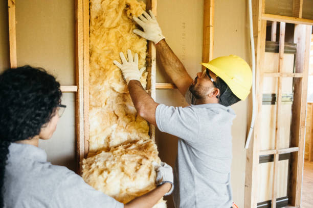 Best Spray Foam Insulation  in Caddo Mills, TX