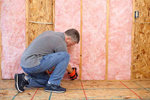 Best Best Insulation Companies  in Caddo Mills, TX