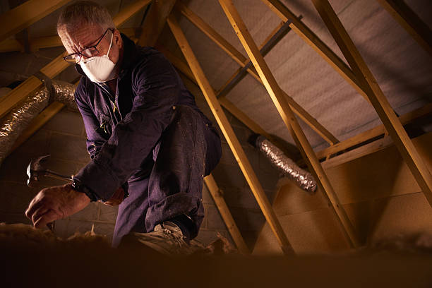 Best Insulation for Commercial Buildings  in Caddo Mills, TX